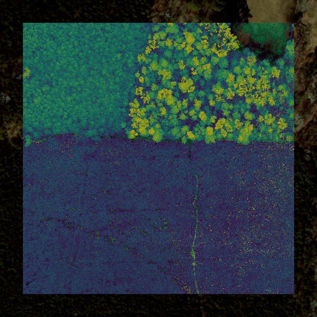 This image shows a LiDAR point cloud in Currituck County created using GIS data in Equator.