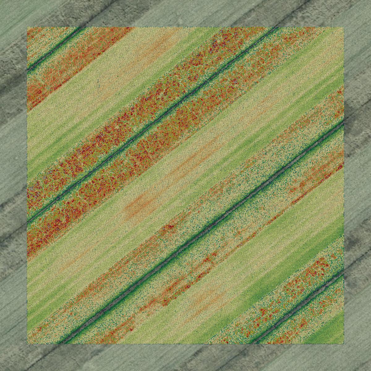 This image shows a LiDAR point cloud in Dare County created using GIS data in Equator.