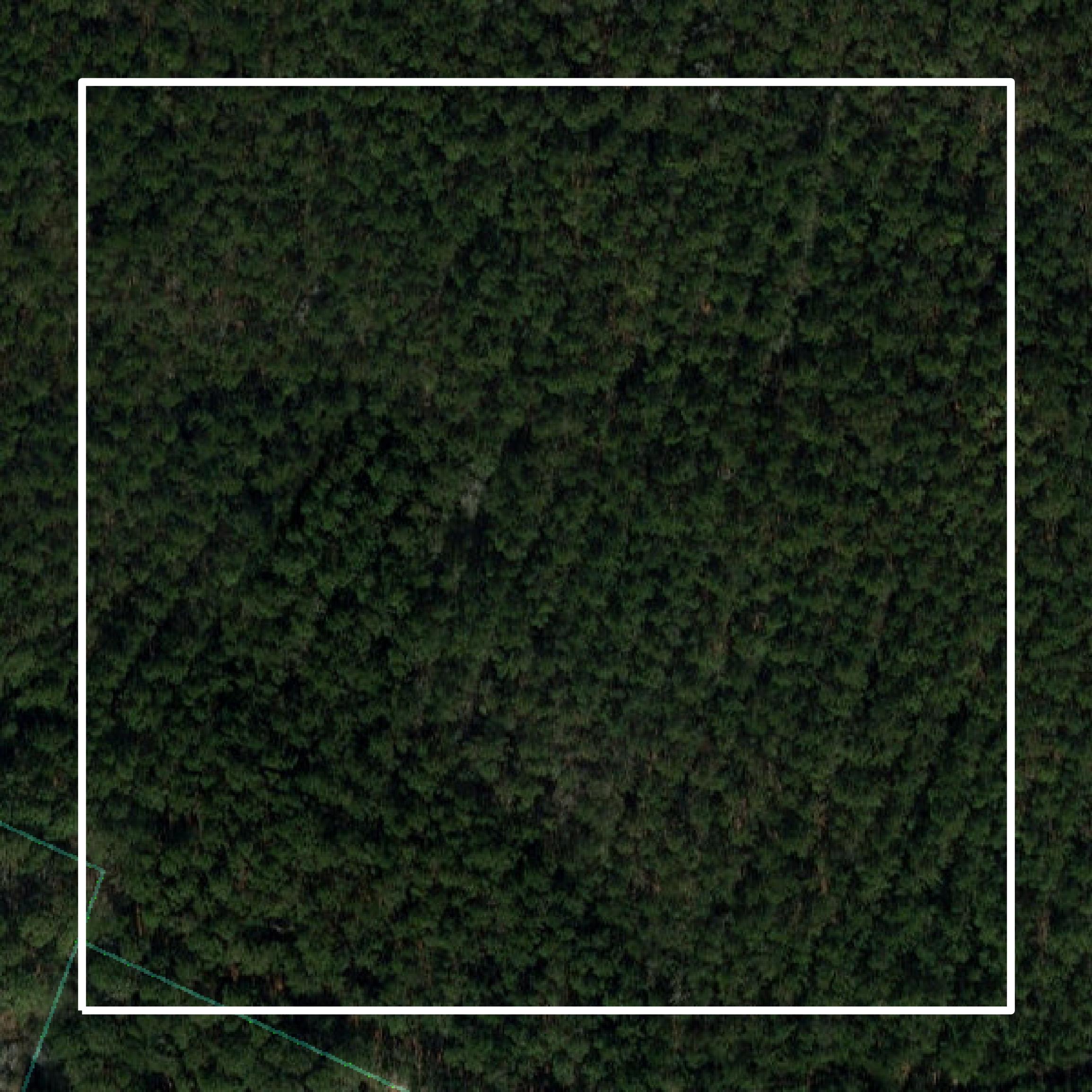 This image shows parcel and building data in Duplin County created using GIS data in Equator.