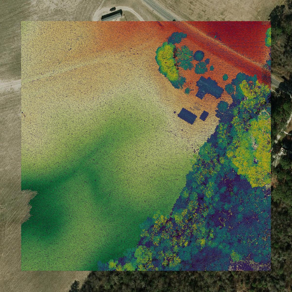 This image shows a LiDAR point cloud in Duplin County created using GIS data in Equator.