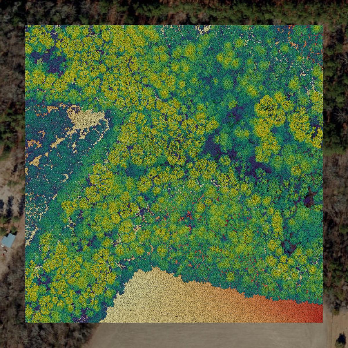 This image shows a LiDAR point cloud in Edgecombe County created using GIS data in Equator.