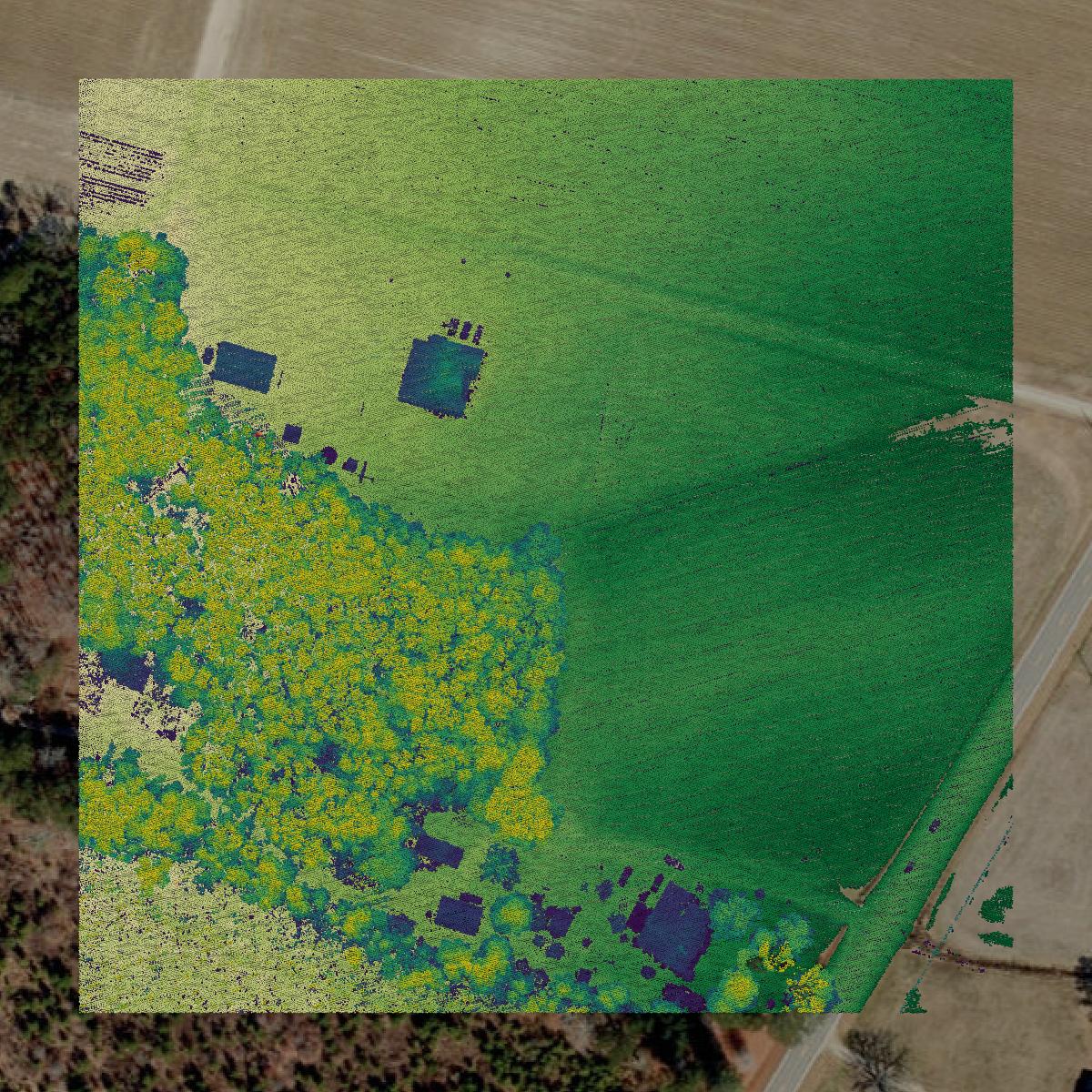 This image shows a LiDAR point cloud in Edgecombe County created using GIS data in Equator.