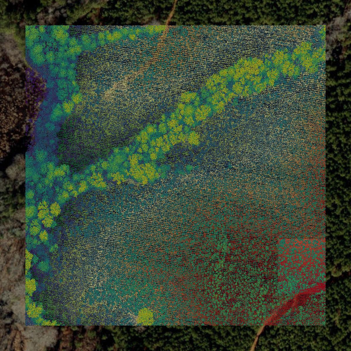 This image shows a LiDAR point cloud in Franklin County created using GIS data in Equator.