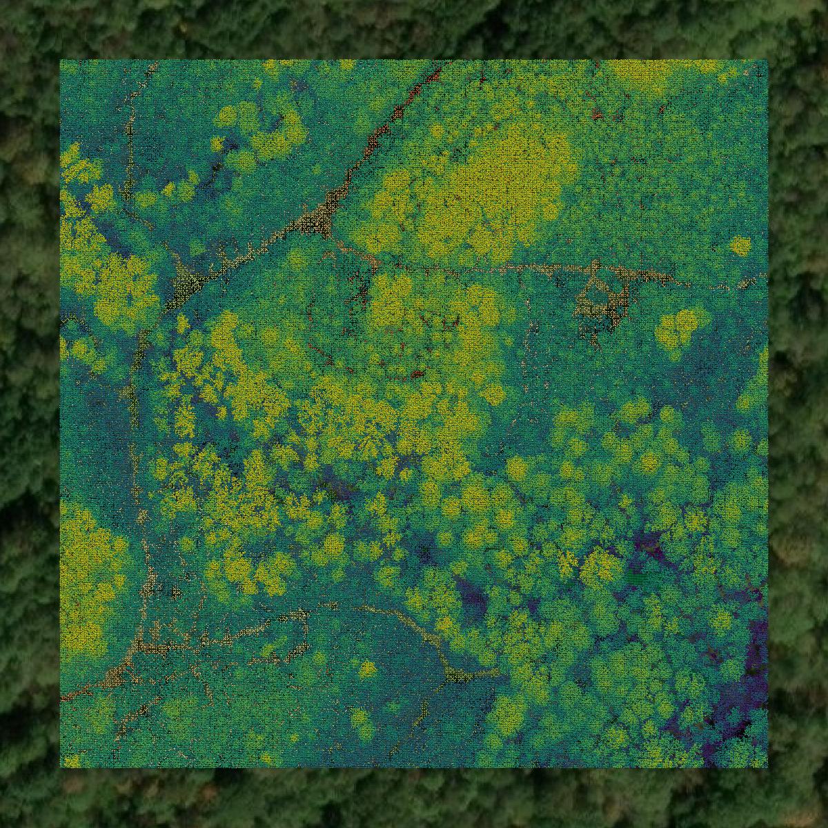 This image shows a LiDAR point cloud in Gaston County created using GIS data in Equator.