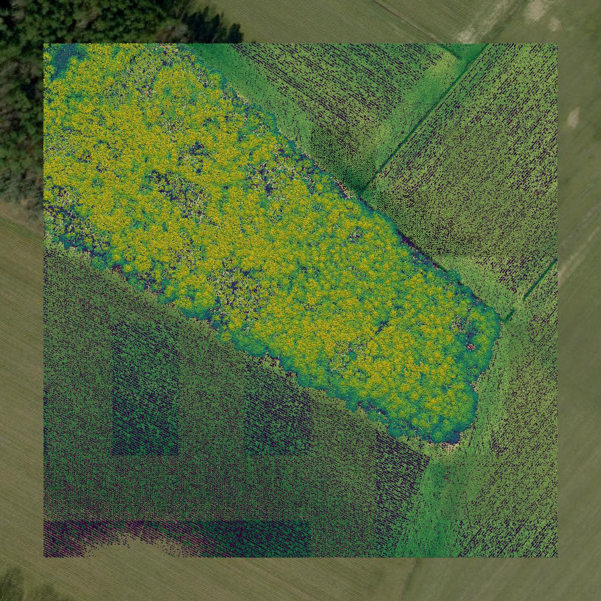 This image shows a LiDAR point cloud in Gates County created using GIS data in Equator.