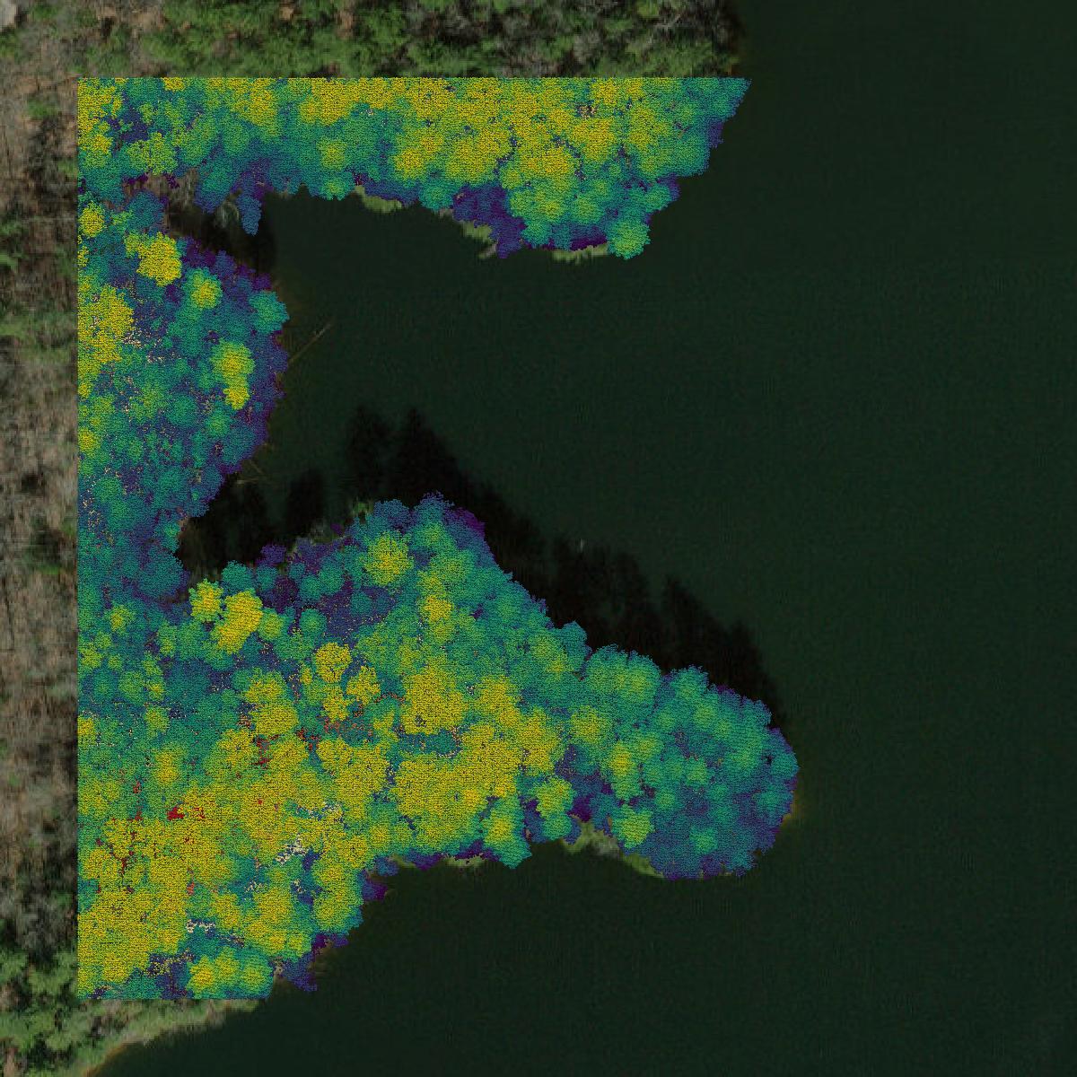 This image shows a LiDAR point cloud in Graham County created using GIS data in Equator.