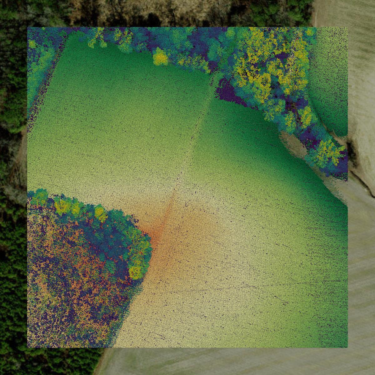 This image shows a LiDAR point cloud in Greene County created using GIS data in Equator.