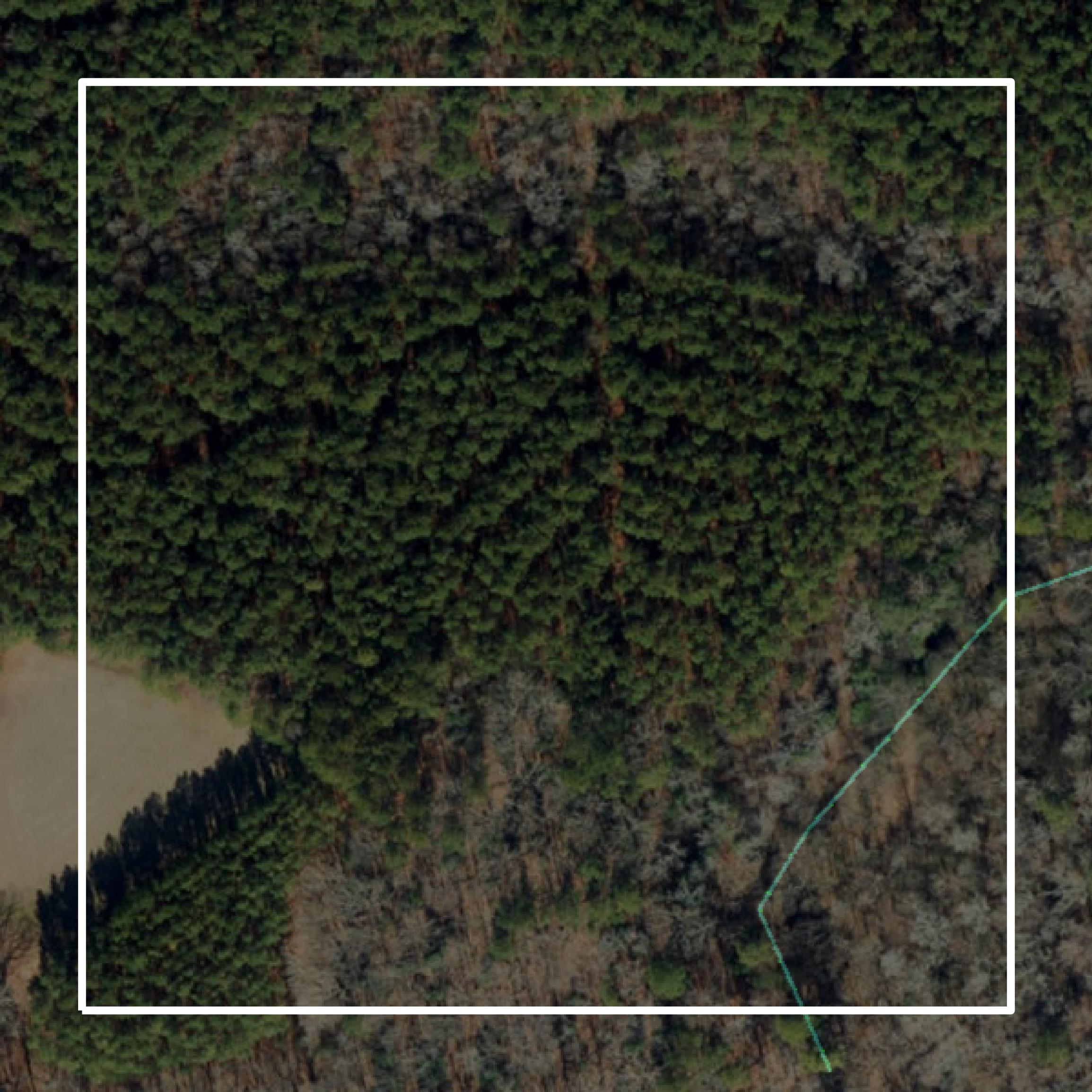 This image shows parcel and building data in Halifax County created using GIS data in Equator.