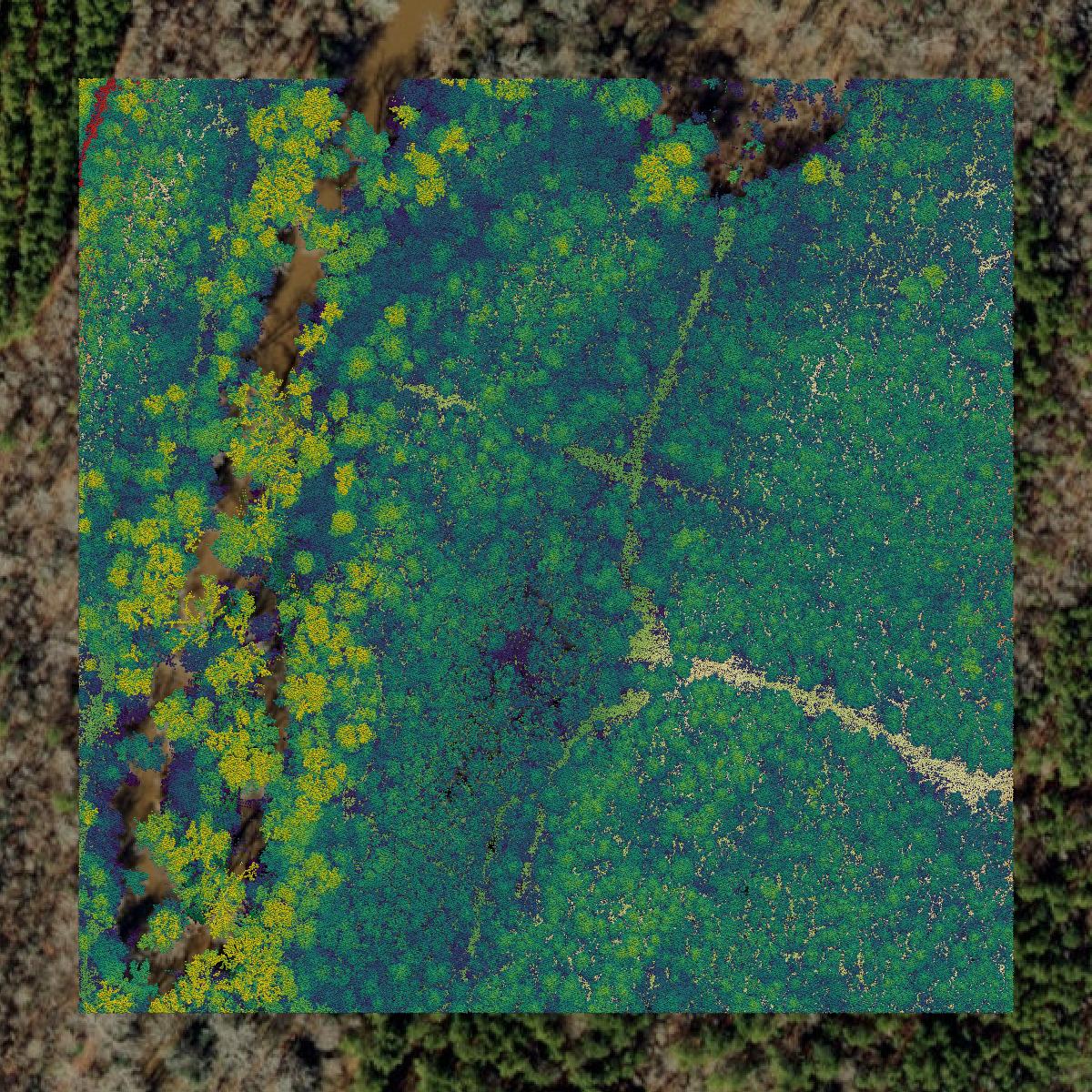 This image shows a LiDAR point cloud in Halifax County created using GIS data in Equator.