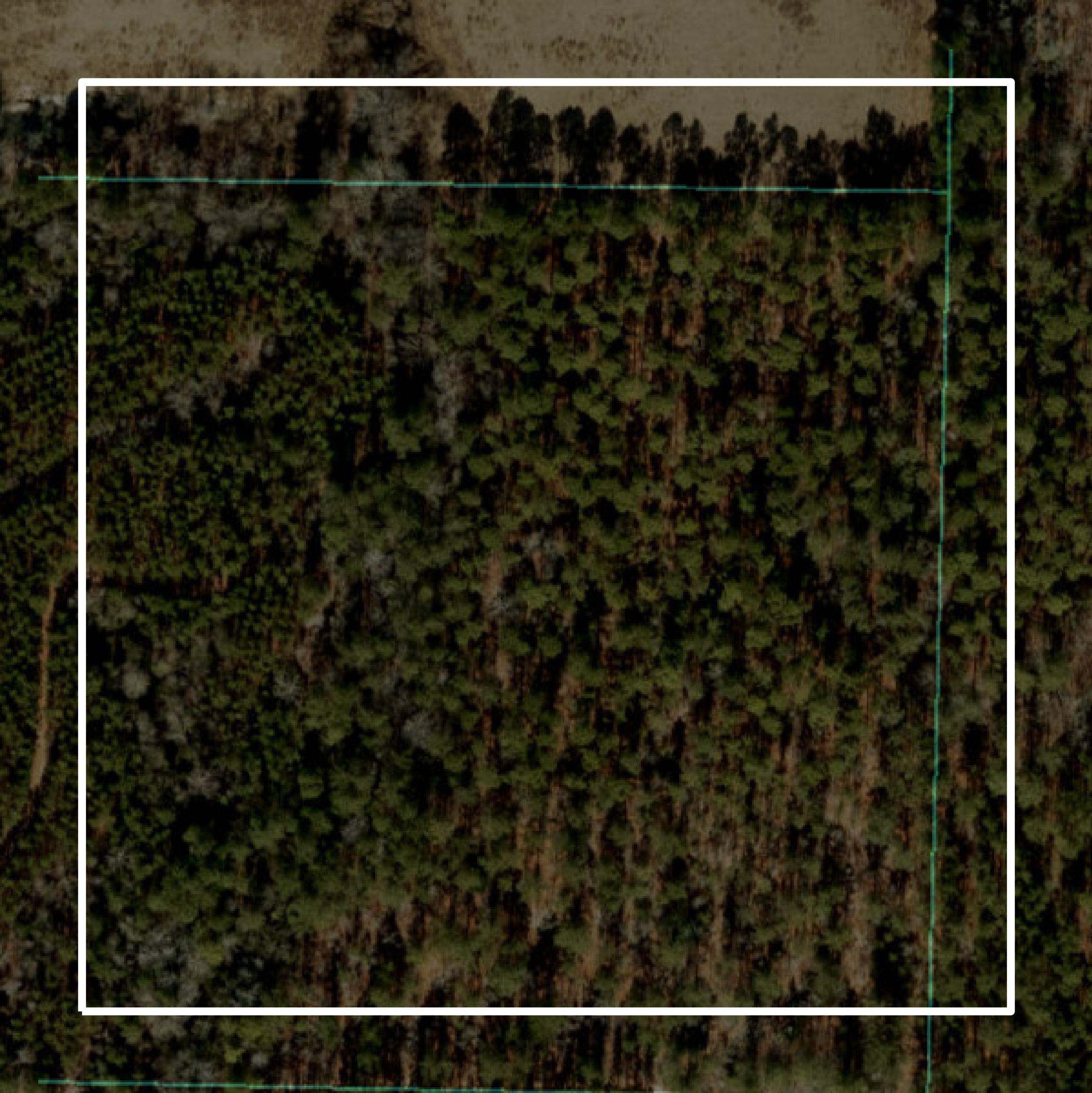 This image shows parcel and building data in Harnett County created using GIS data in Equator.