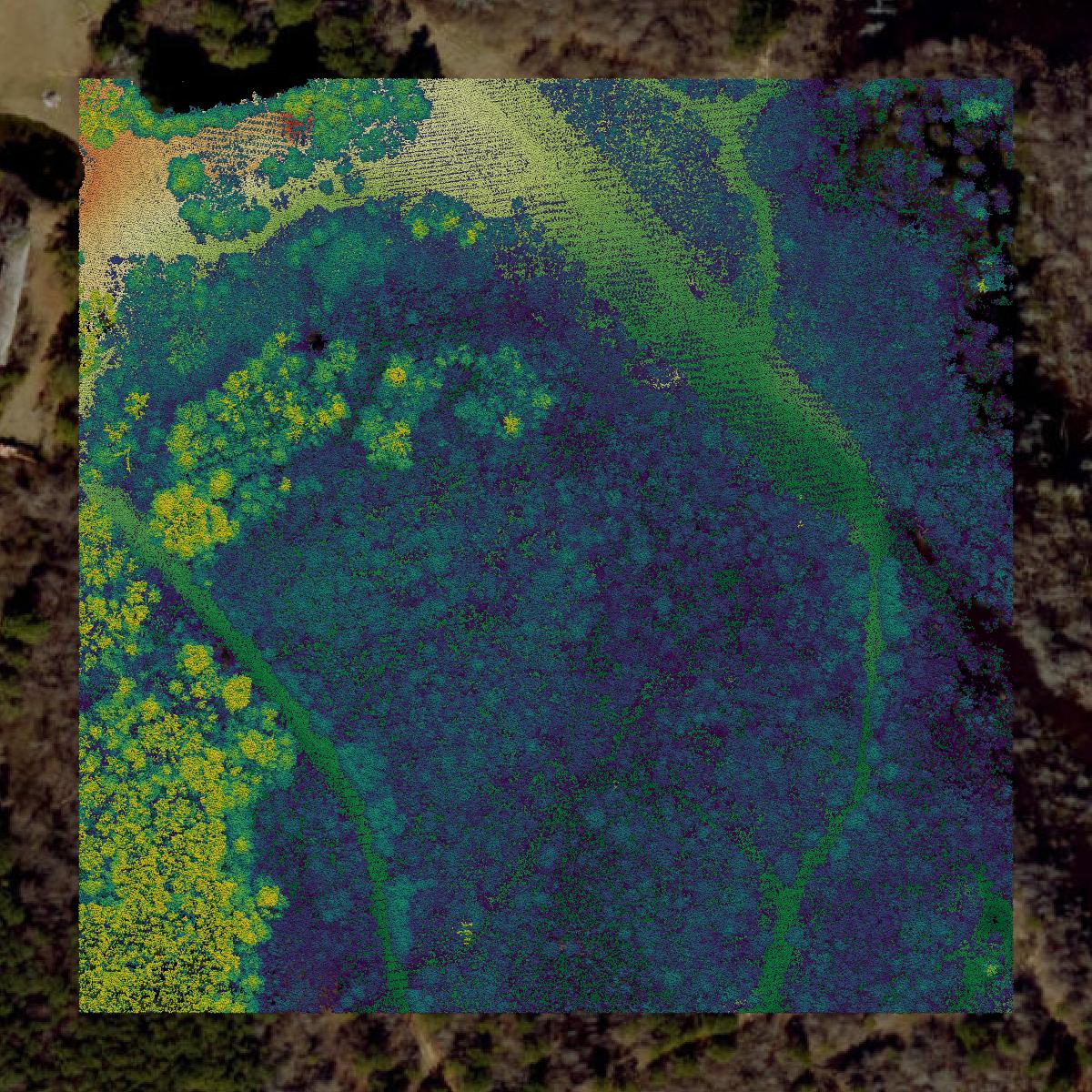 This image shows a LiDAR point cloud in Harnett County created using GIS data in Equator.