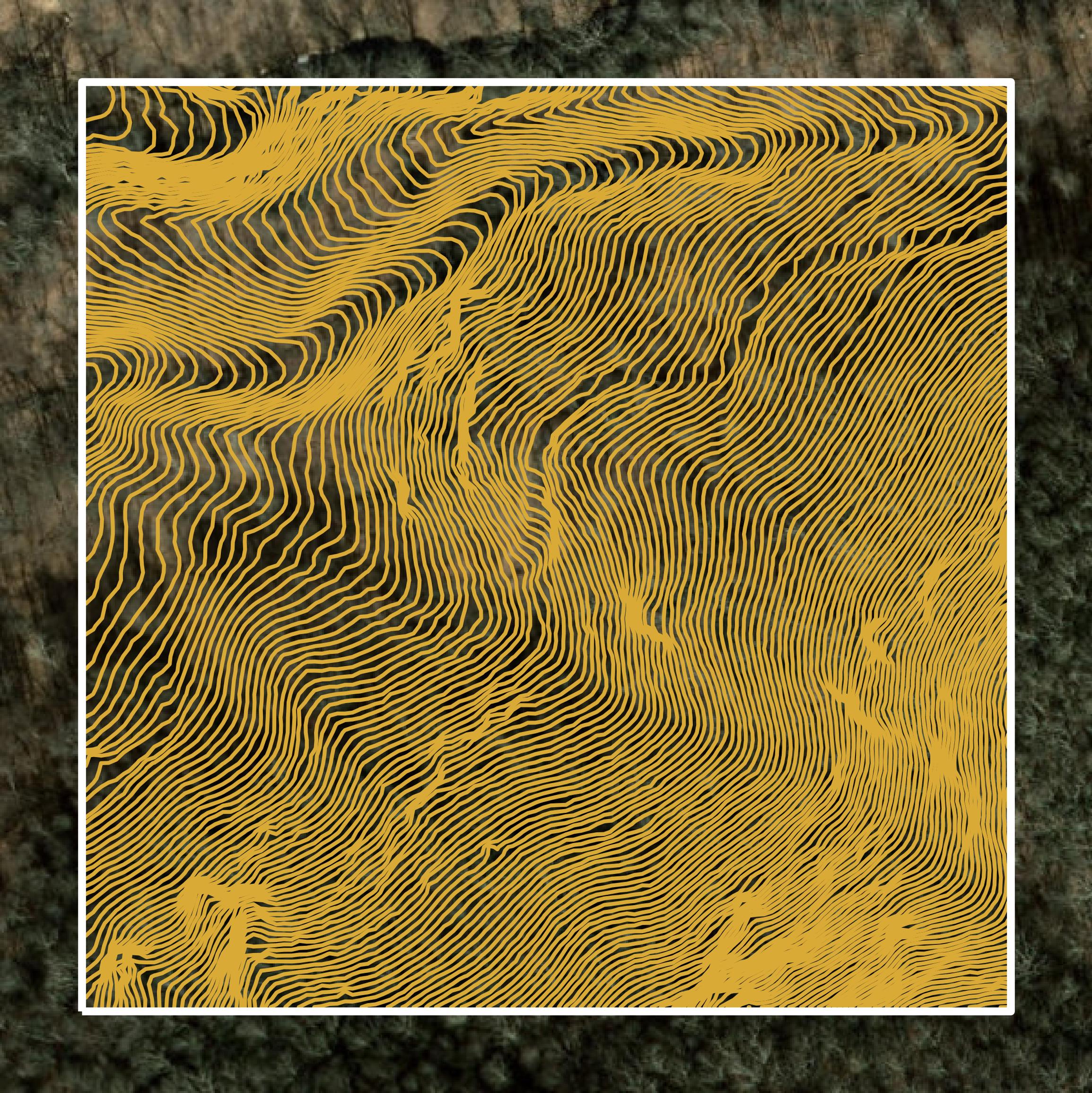 This image shows a contour map in Haywood County created using GIS data in Equator.