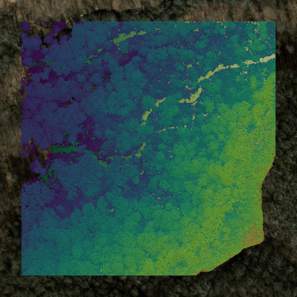 This image shows a LiDAR point cloud in Haywood County created using GIS data in Equator.