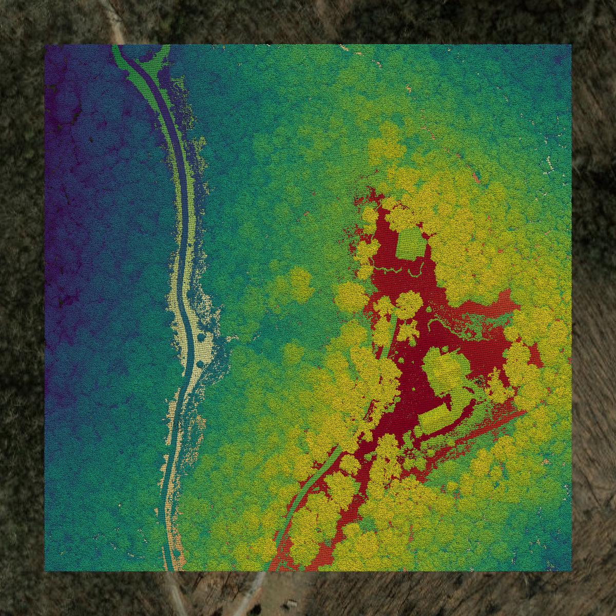 This image shows a LiDAR point cloud in Haywood County created using GIS data in Equator.