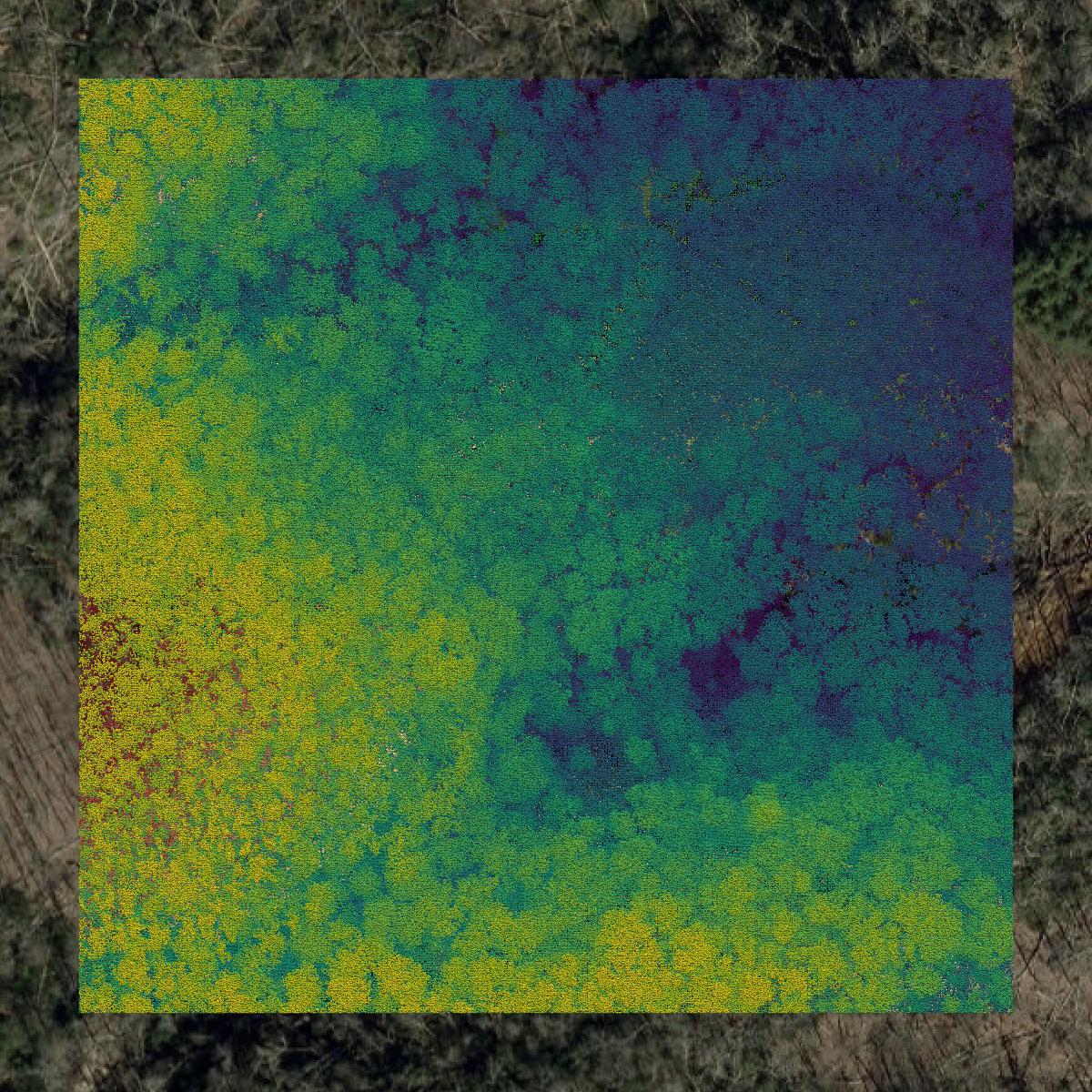 This image shows a LiDAR point cloud in Henderson County created using GIS data in Equator.