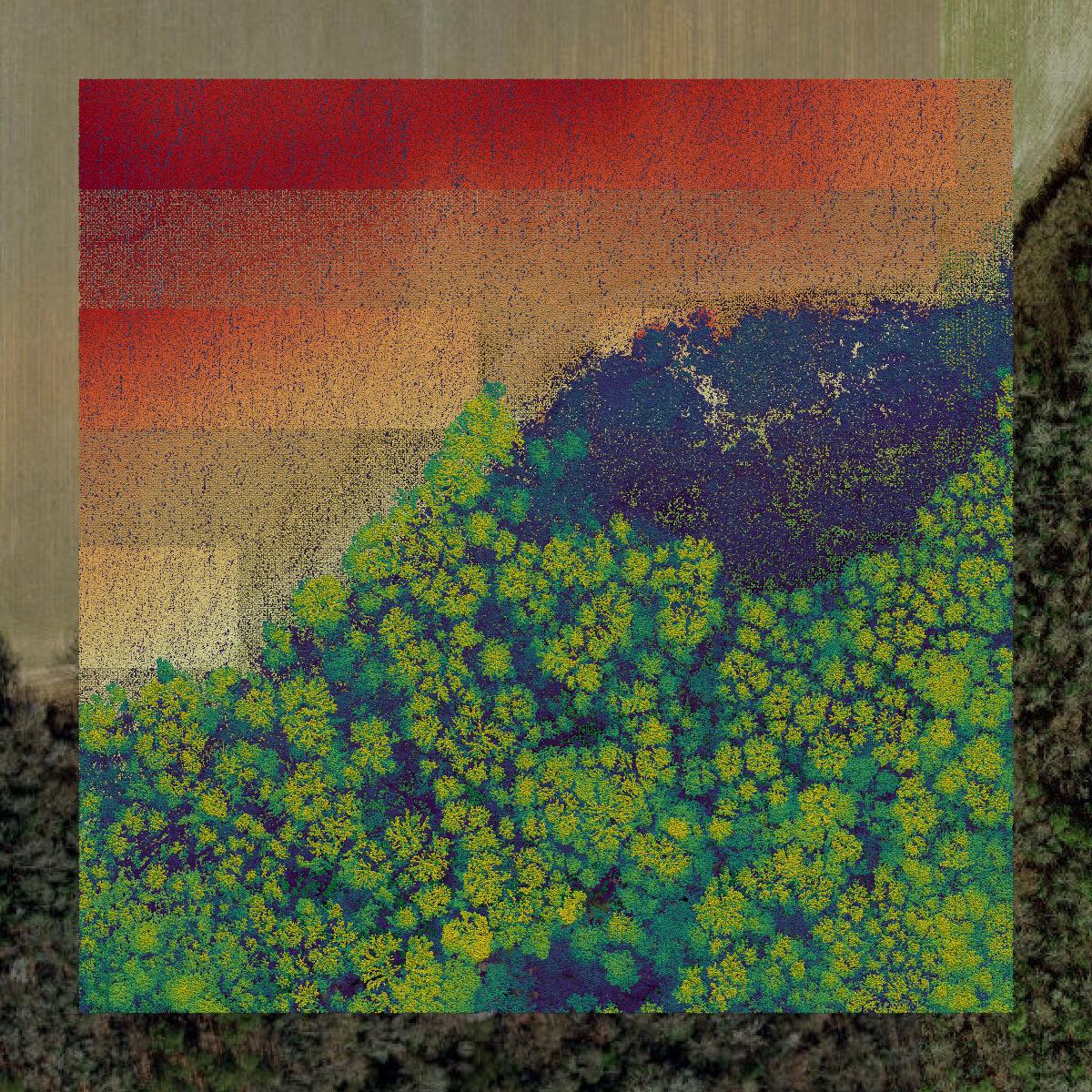 This image shows a LiDAR point cloud in Hertford County created using GIS data in Equator.