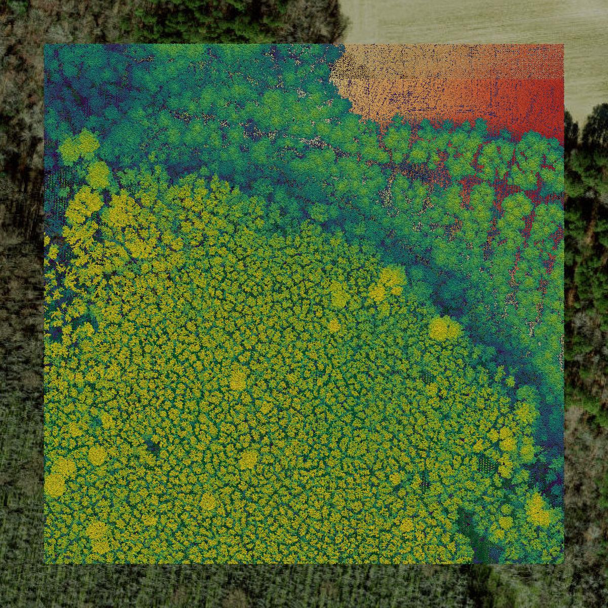 This image shows a LiDAR point cloud in Hertford County created using GIS data in Equator.
