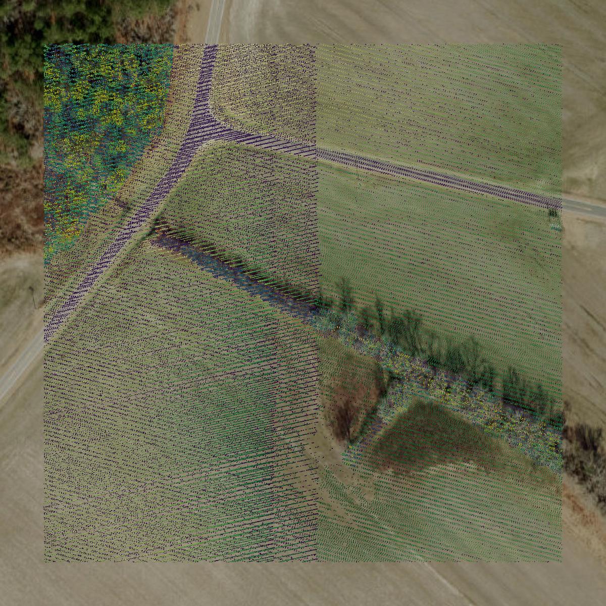 This image shows a LiDAR point cloud in Hoke County created using GIS data in Equator.