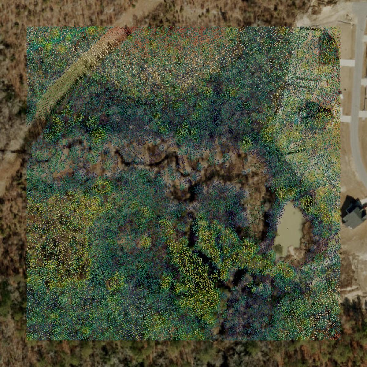 This image shows a LiDAR point cloud in Hoke County created using GIS data in Equator.