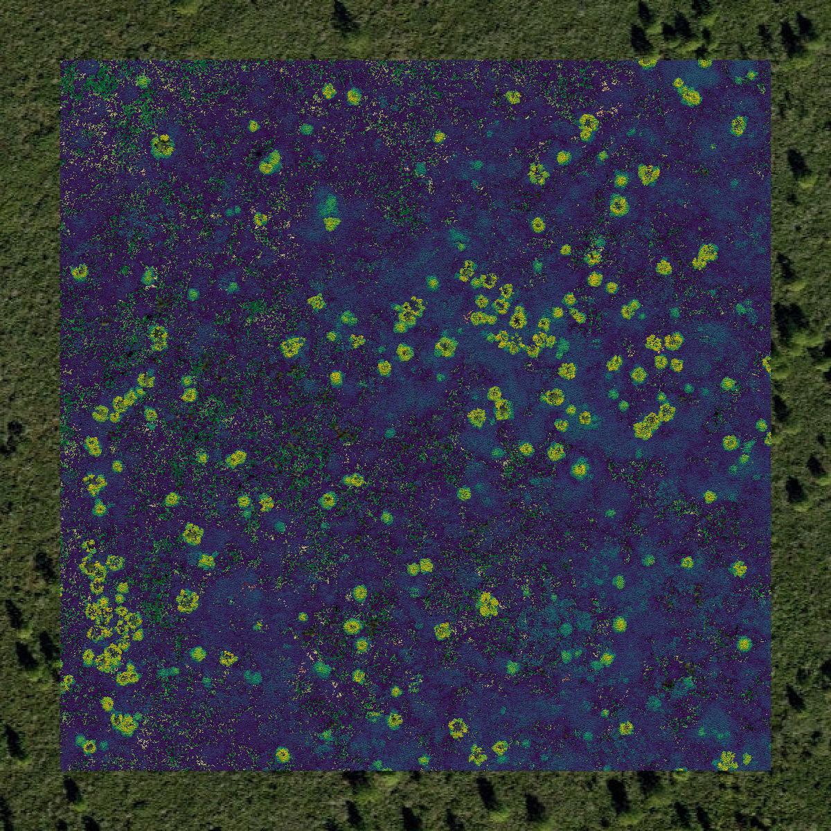 This image shows a LiDAR point cloud in Hyde County created using GIS data in Equator.