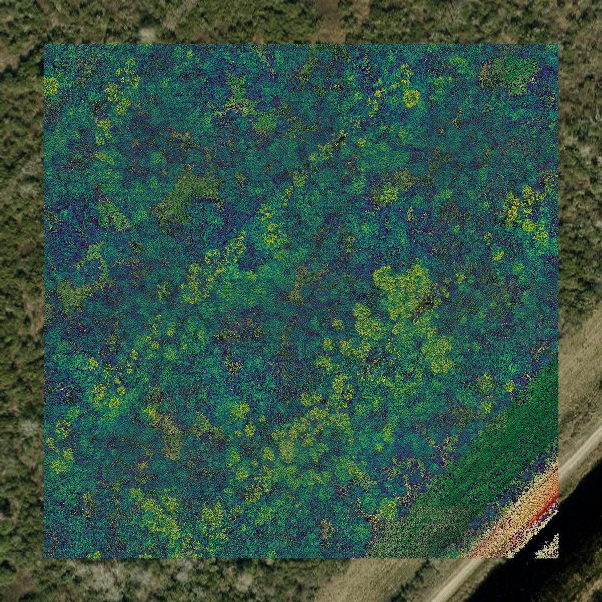 This image shows a LiDAR point cloud in Hyde County created using GIS data in Equator.