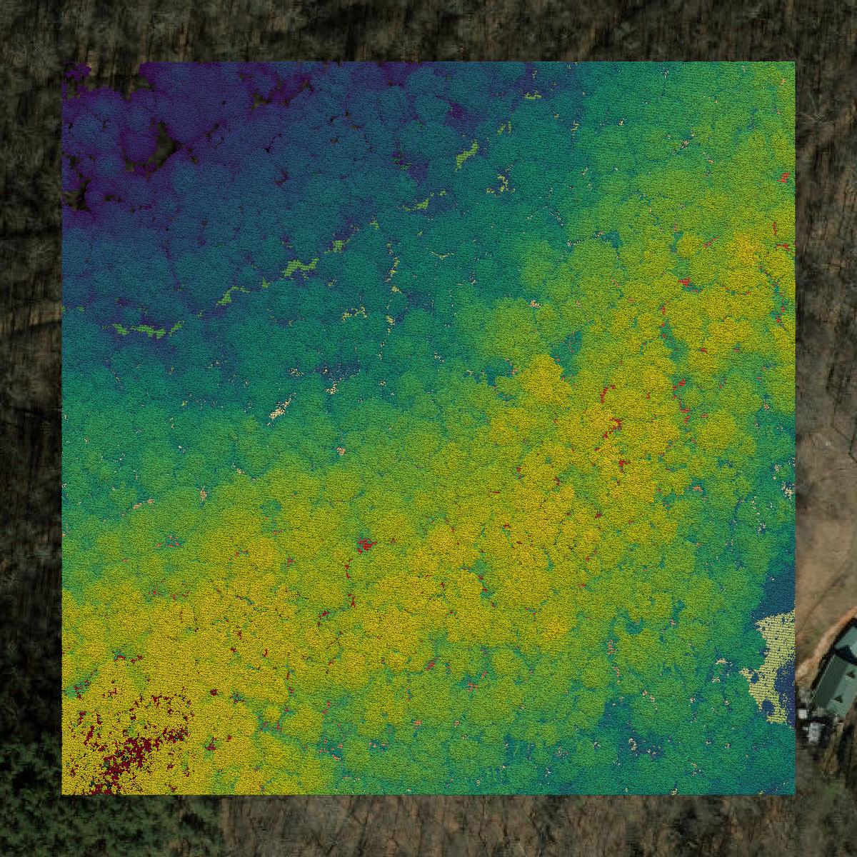 This image shows a LiDAR point cloud in Jackson County created using GIS data in Equator.