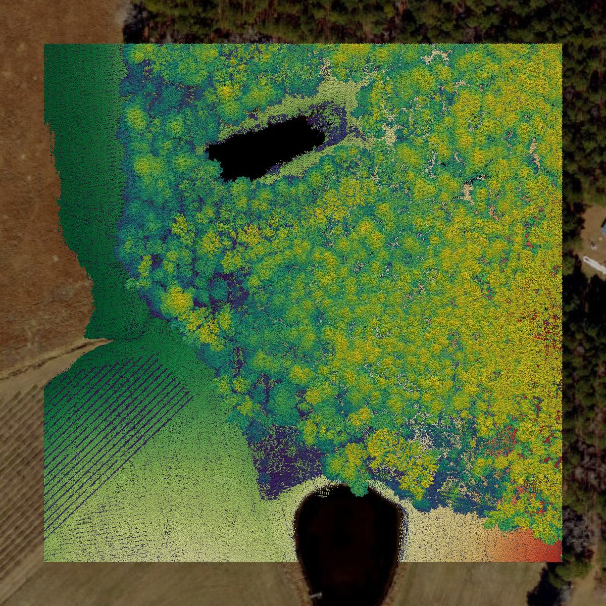This image shows a LiDAR point cloud in Johnston County created using GIS data in Equator.