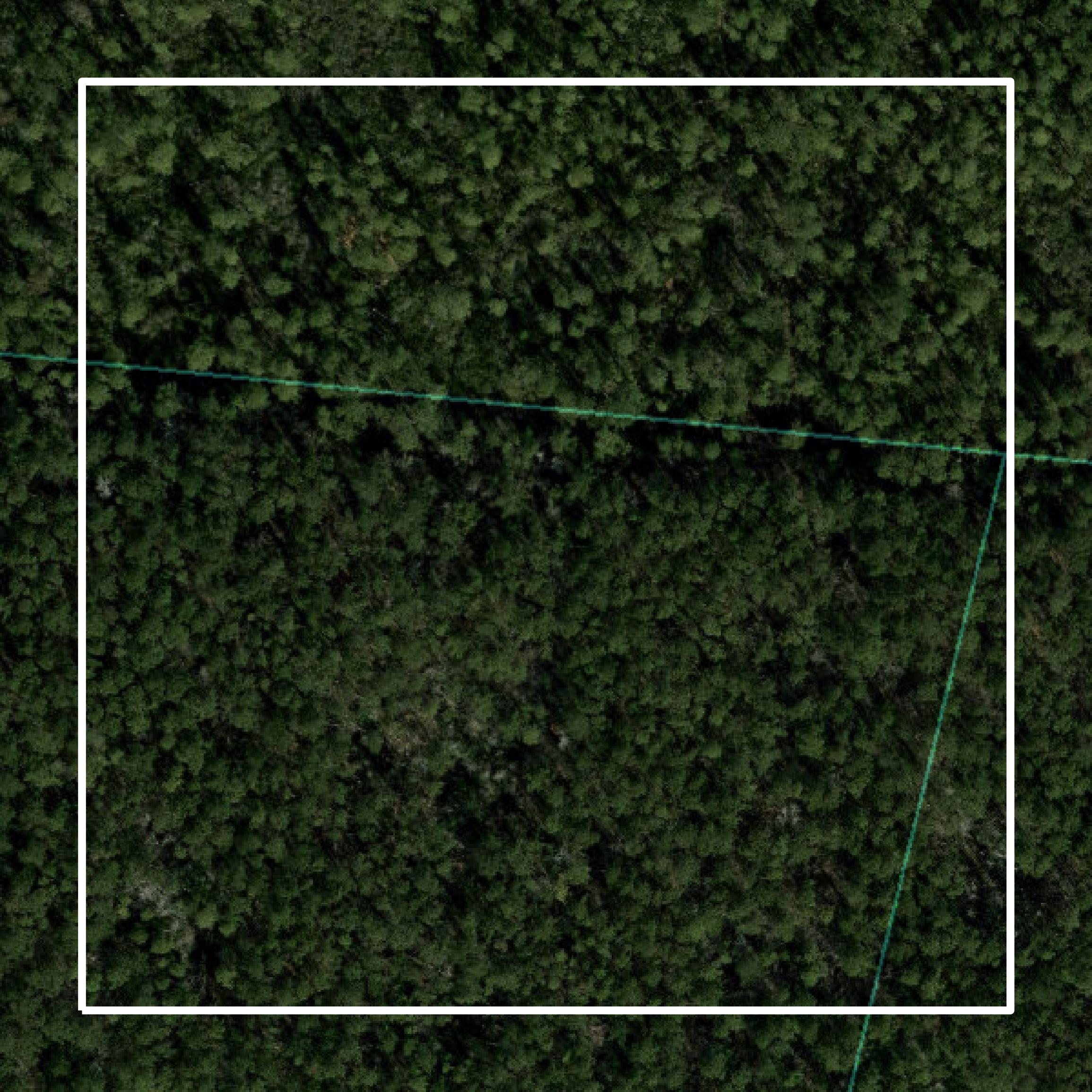 This image shows parcel and building data in Jones County created using GIS data in Equator.