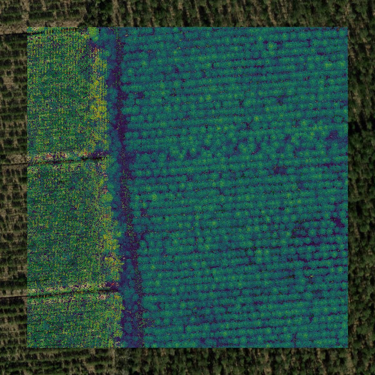 This image shows a LiDAR point cloud in Jones County created using GIS data in Equator.