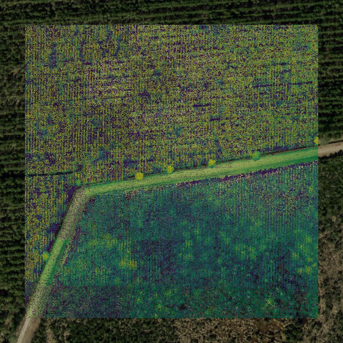 This image shows a LiDAR point cloud in Jones County created using GIS data in Equator.