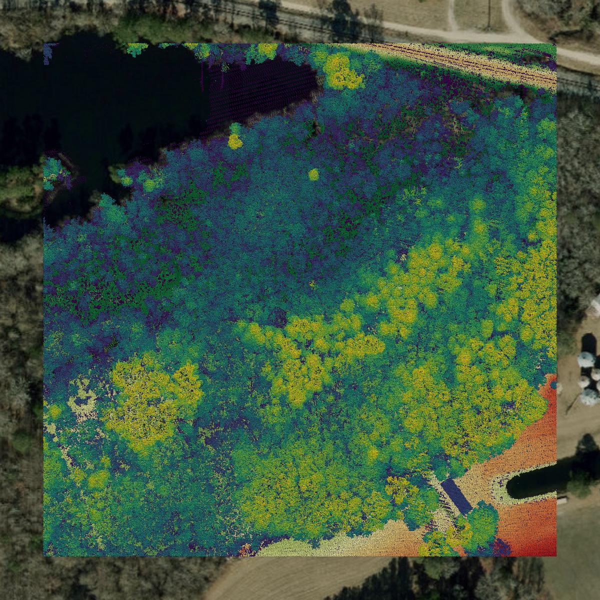 This image shows a LiDAR point cloud in Lenoir County created using GIS data in Equator.