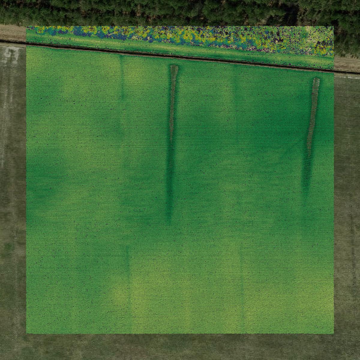 This image shows a LiDAR point cloud in Lenoir County created using GIS data in Equator.