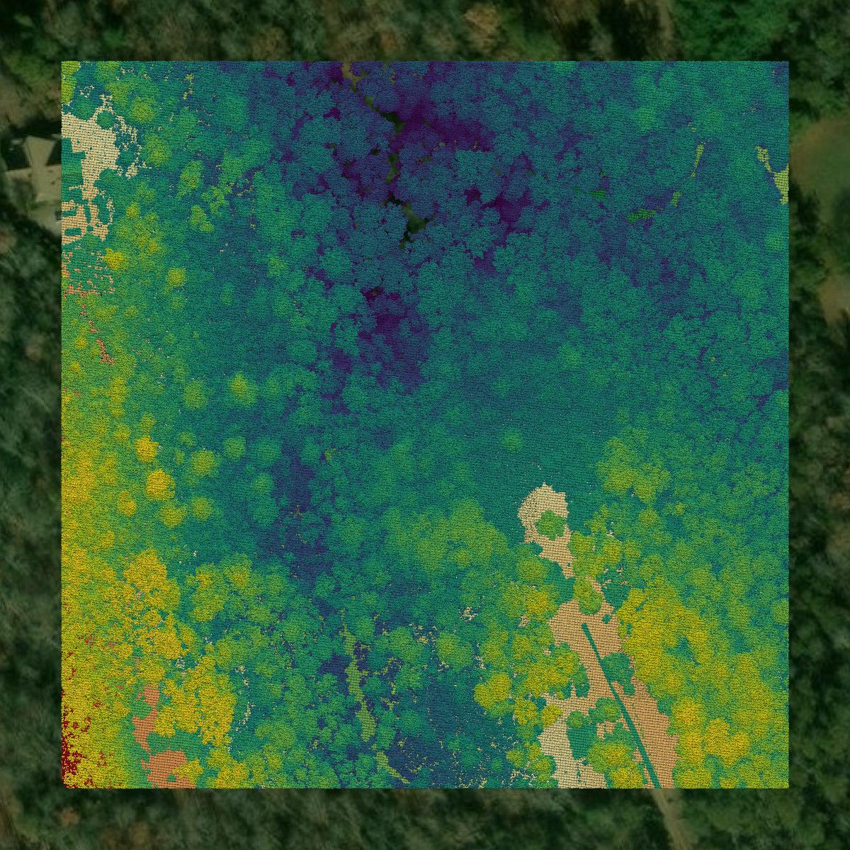 This image shows a LiDAR point cloud in Macon County created using GIS data in Equator.