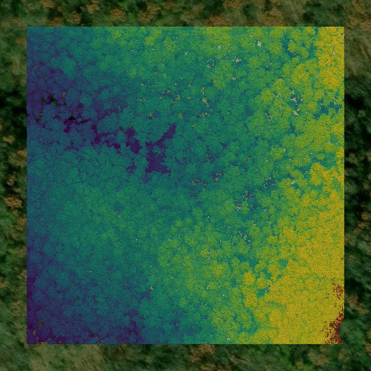 This image shows a LiDAR point cloud in Macon County created using GIS data in Equator.