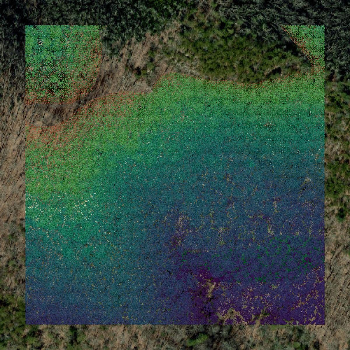 This image shows a LiDAR point cloud in Madison County created using GIS data in Equator.