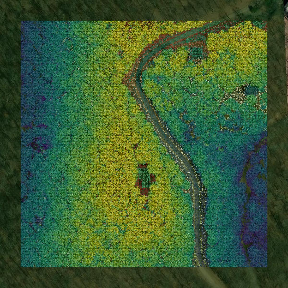 This image shows a LiDAR point cloud in Madison County created using GIS data in Equator.
