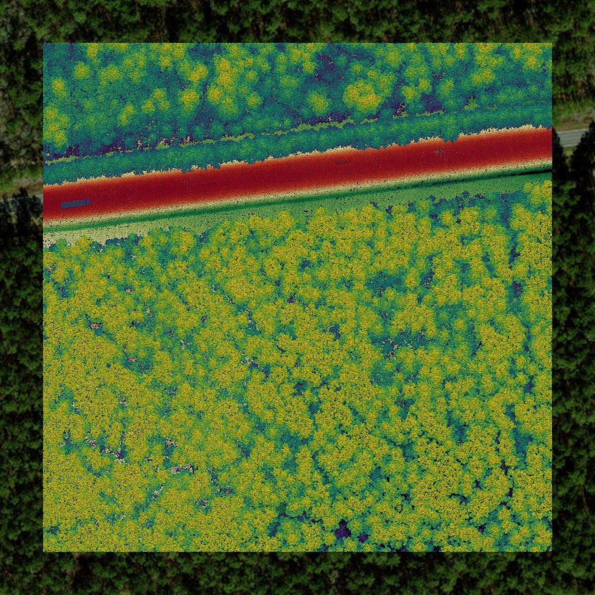 This image shows a LiDAR point cloud in Martin County created using GIS data in Equator.