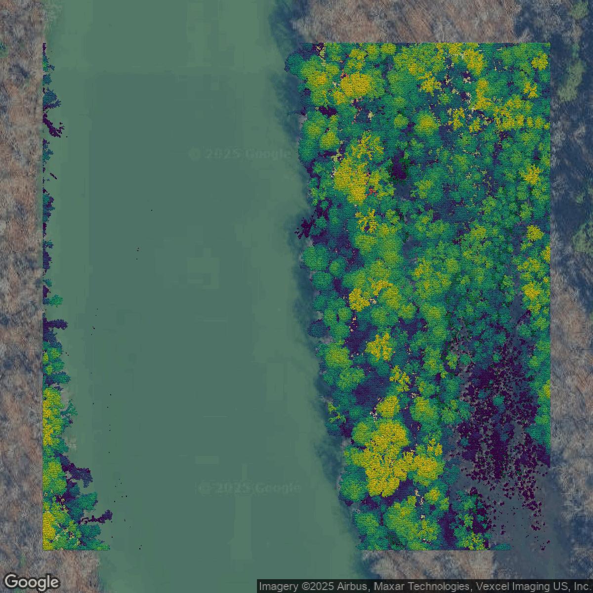 This image shows a LiDAR point cloud in Mecklenburg County created using GIS data in Equator.
