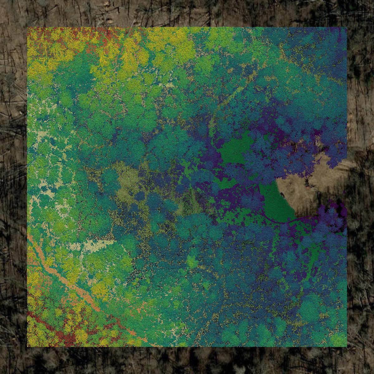 This image shows a LiDAR point cloud in Mitchell County created using GIS data in Equator.