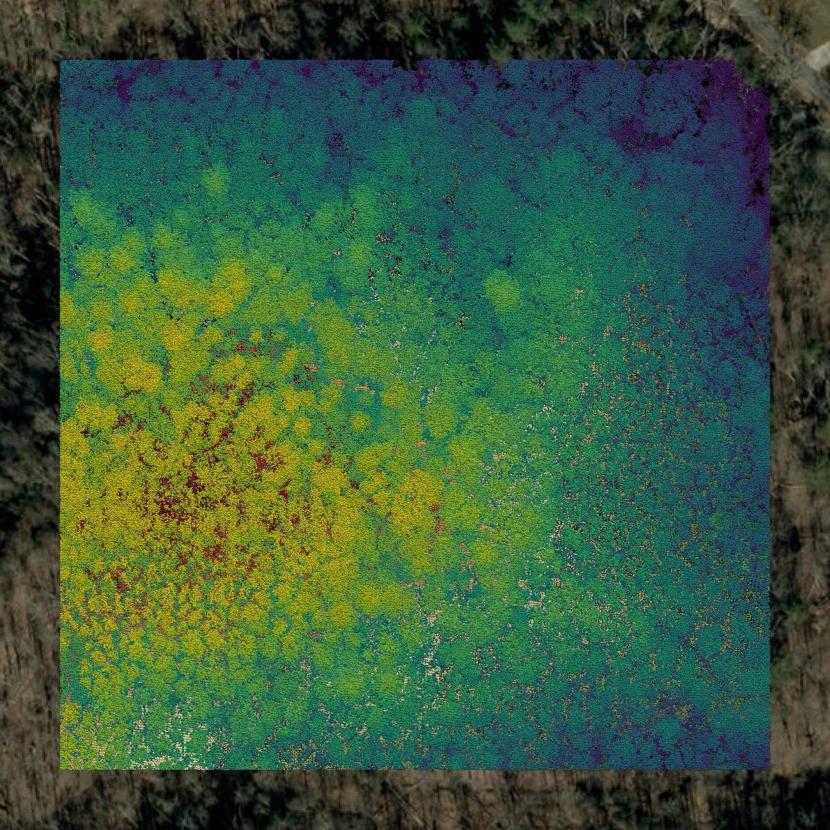 This image shows a LiDAR point cloud in Mitchell County created using GIS data in Equator.