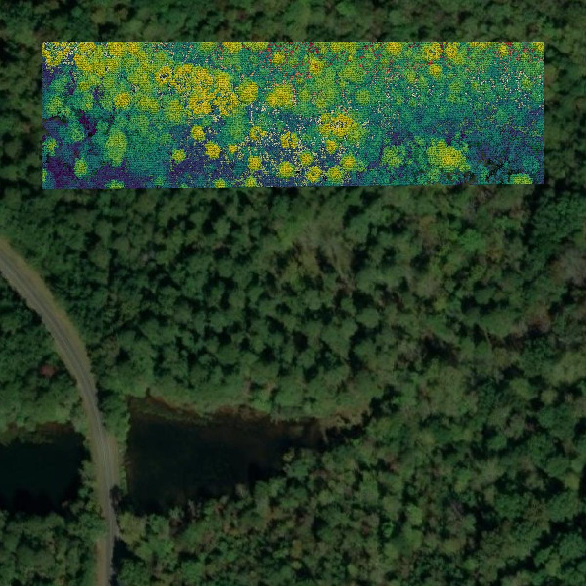 This image shows a LiDAR point cloud in Montgomery County created using GIS data in Equator.
