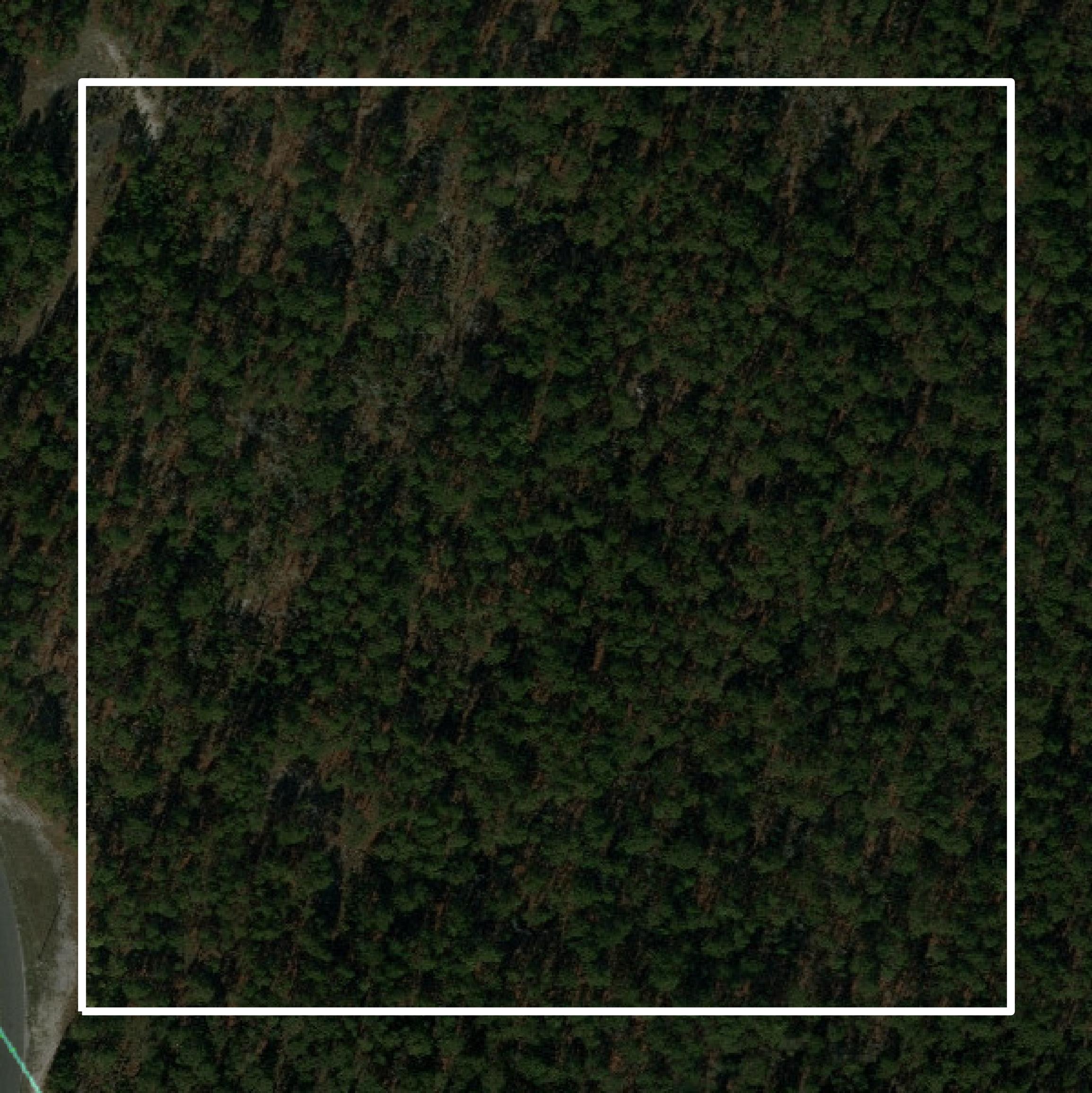 This image shows parcel and building data in New Hanover County created using GIS data in Equator.