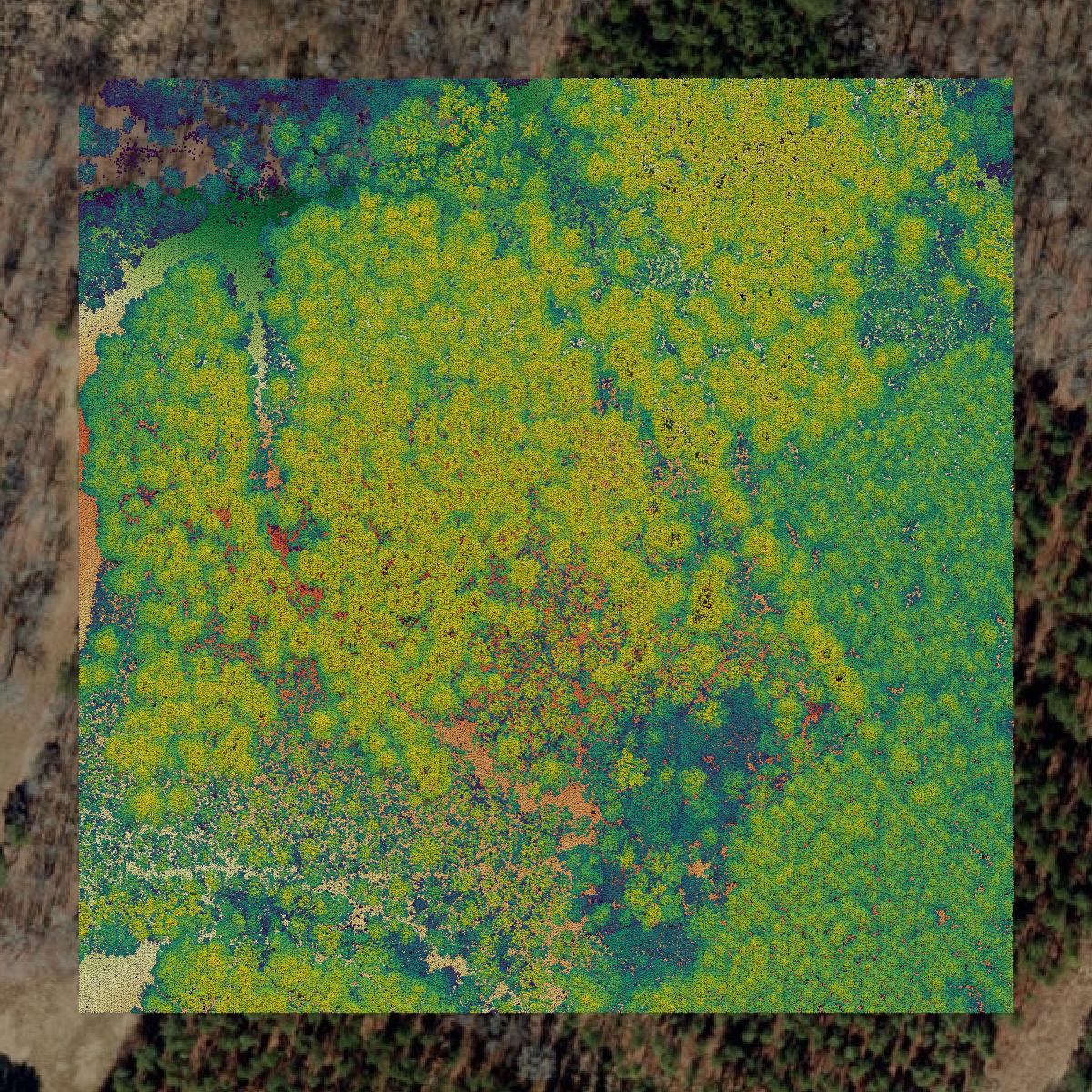 This image shows a LiDAR point cloud in Northampton County created using GIS data in Equator.