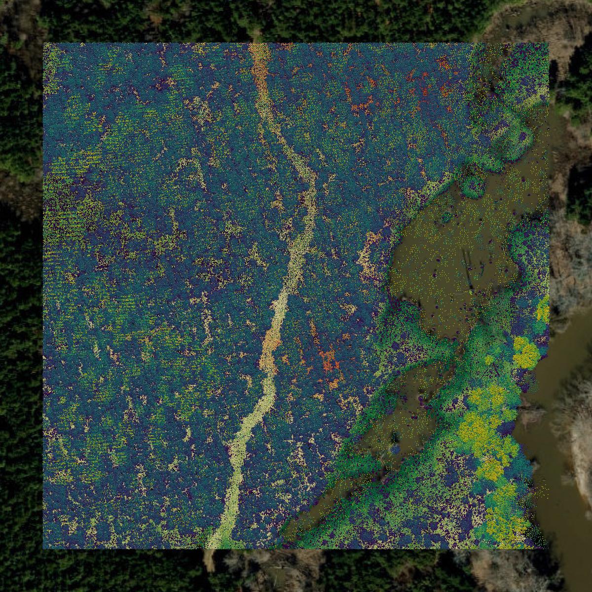 This image shows a LiDAR point cloud in Northampton County created using GIS data in Equator.