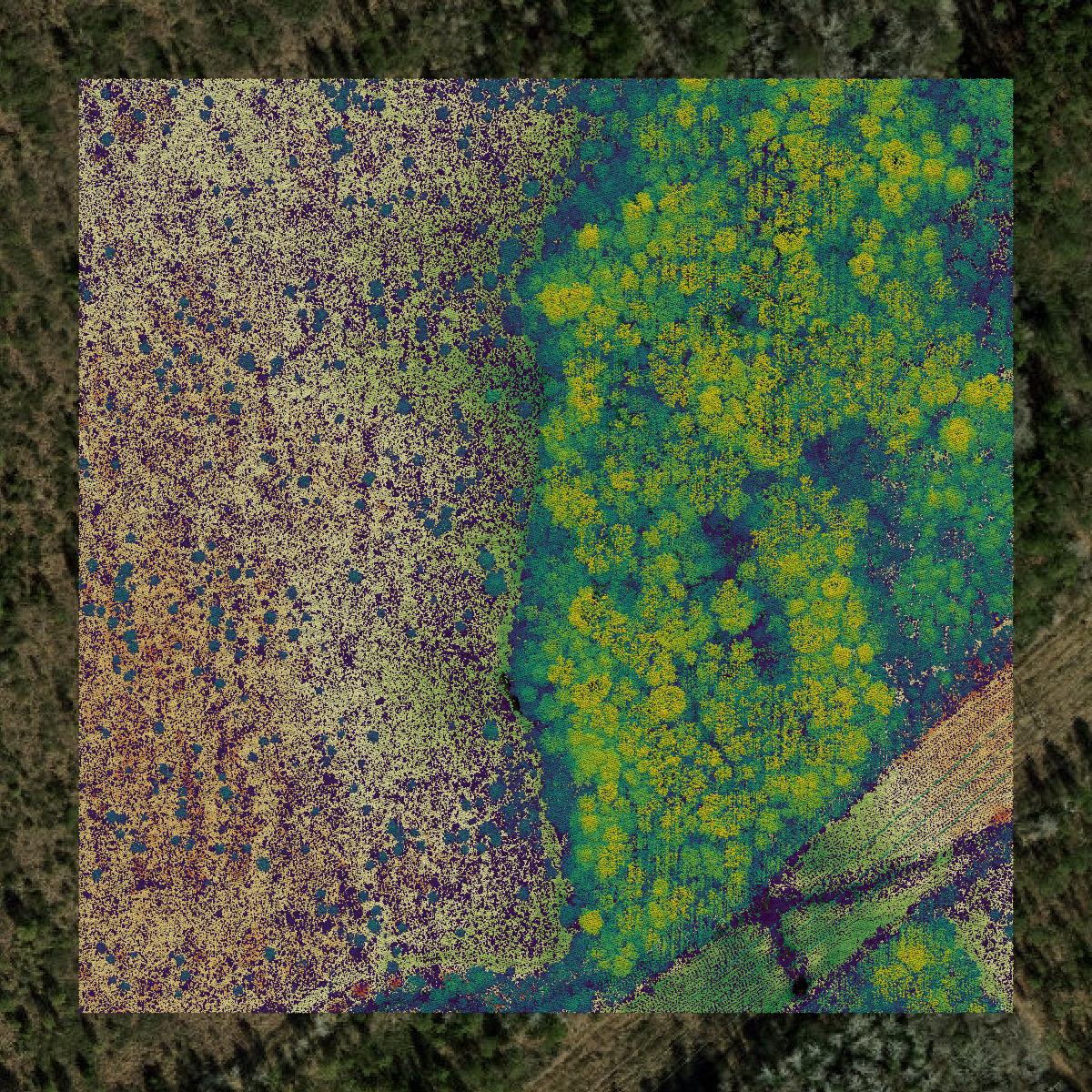 This image shows a LiDAR point cloud in Onslow County created using GIS data in Equator.