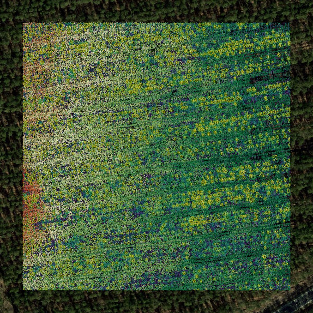 This image shows a LiDAR point cloud in Onslow County created using GIS data in Equator.