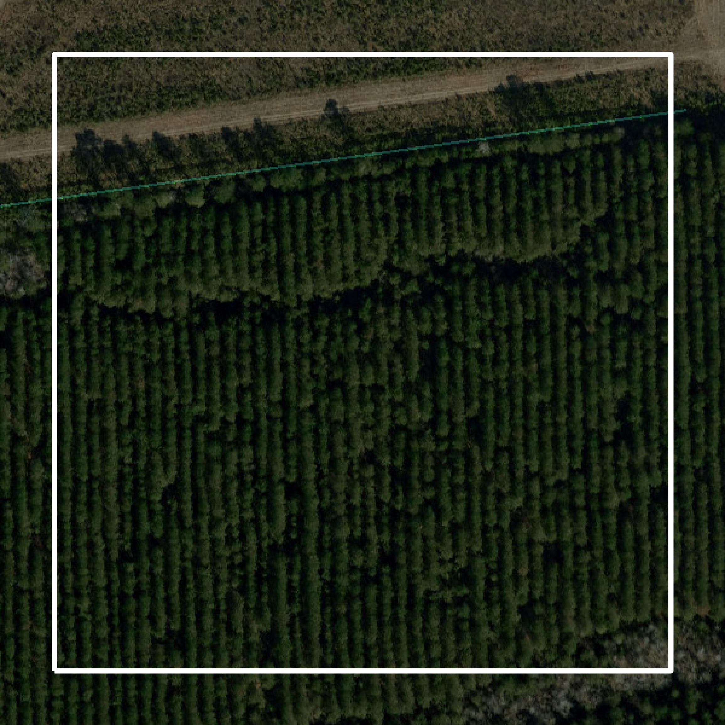 This image shows parcel and building data in Pamlico County created using GIS data in Equator.