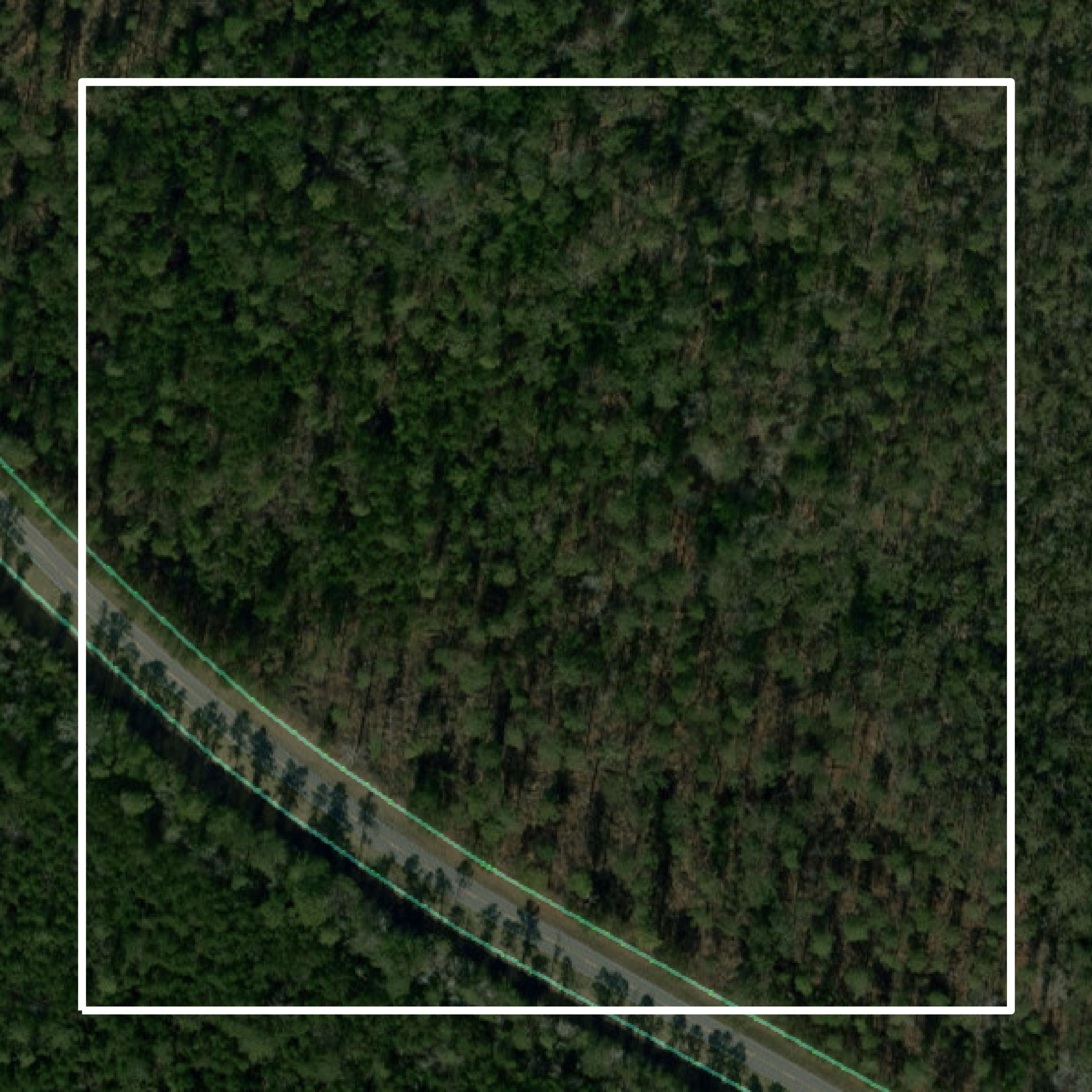This image shows parcel and building data in Pamlico County created using GIS data in Equator.