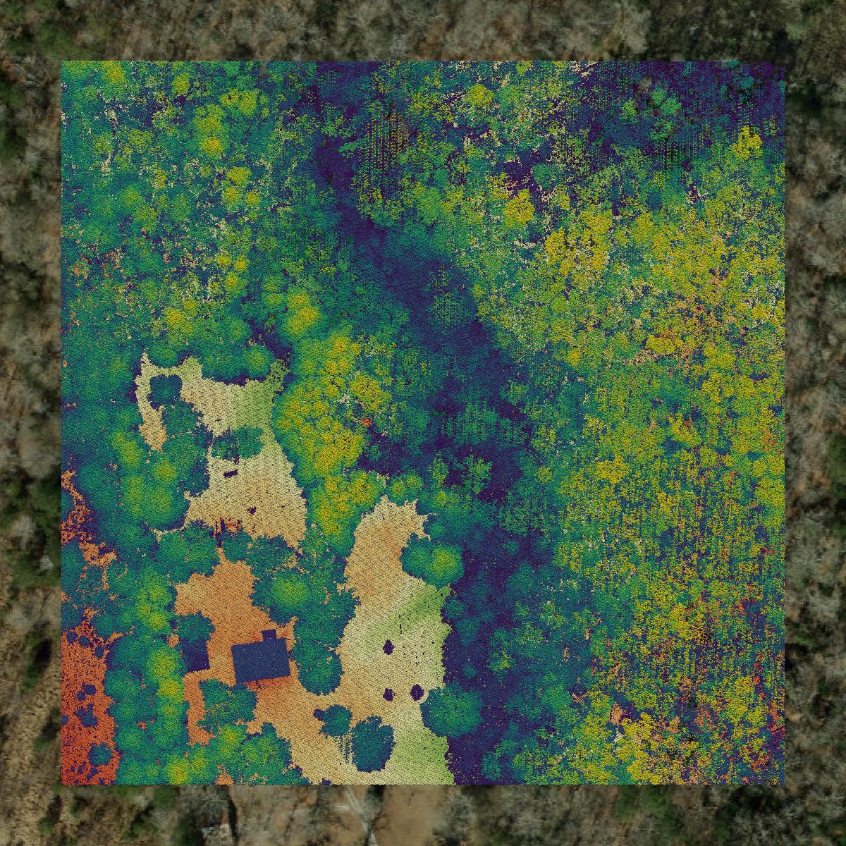 This image shows a LiDAR point cloud in Pamlico County created using GIS data in Equator.