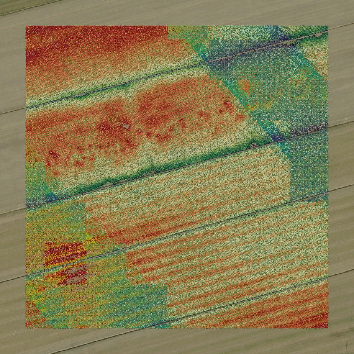 This image shows a LiDAR point cloud in Pasquotank County created using GIS data in Equator.